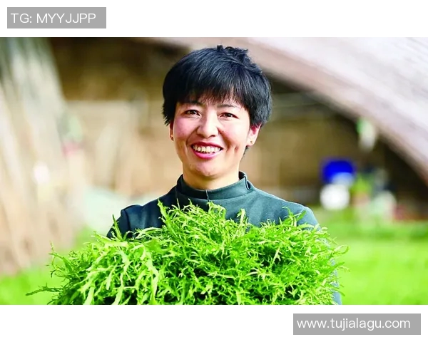 张帆：在风雨中勇往直前的奋斗者与梦想追逐者的故事